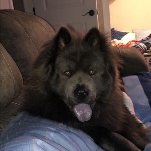 Meet your Posher, Jared